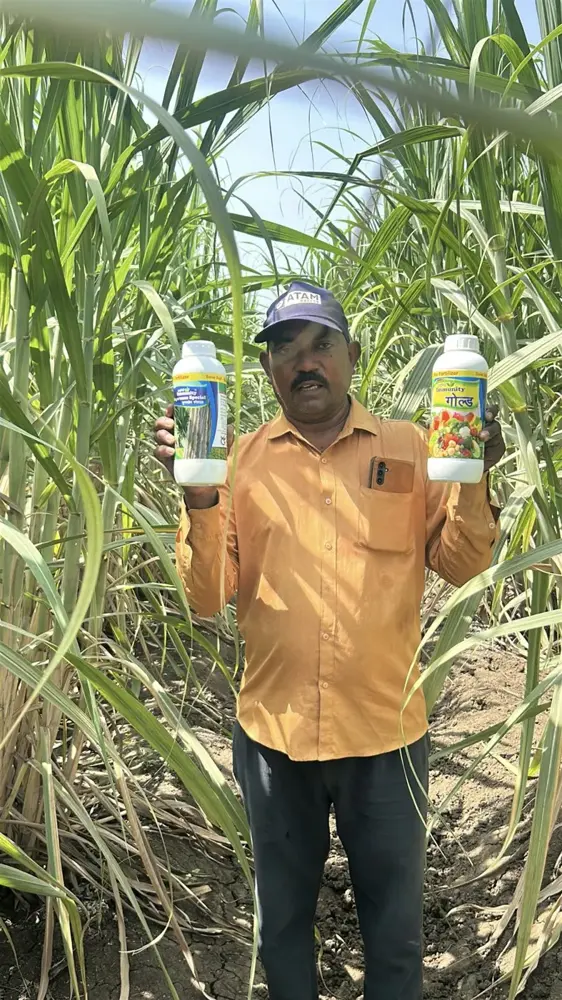 Farmers with Immunity products in a sugarcane field (from ganna.in)