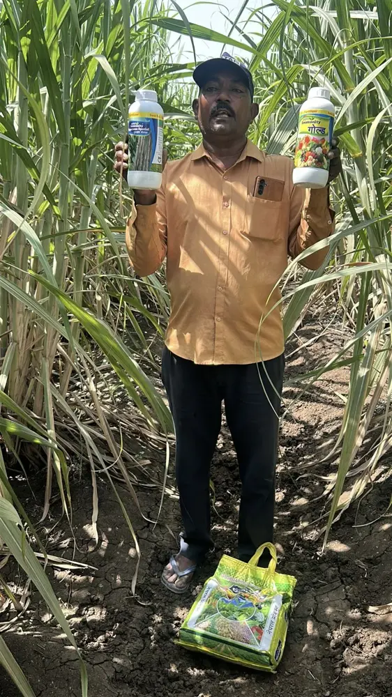 Photo of a sugarcane farmer with his crop or harvest